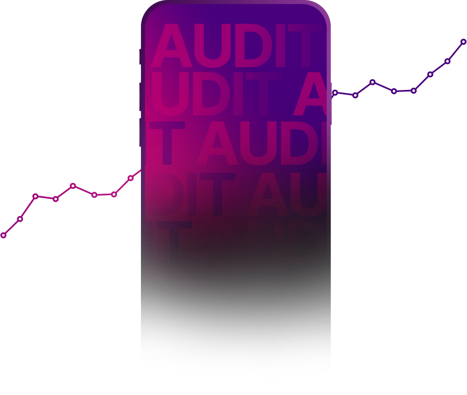 web_audits